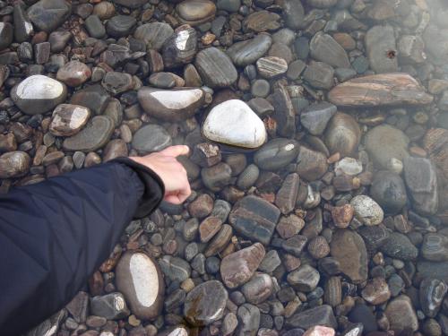 Am Ende waren die ersten Schritte richtungsgebend!